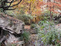 Style anglais, mare et rocaille.